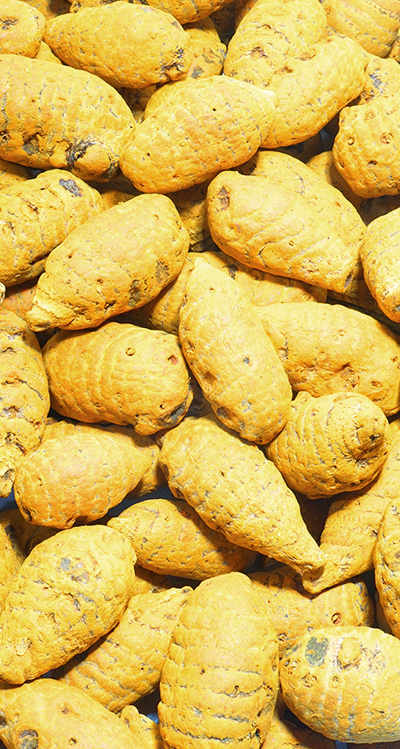 Shri Raamakrishnaa Agro Foods Story Image
